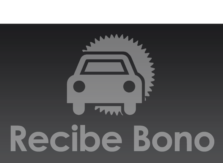 Recibe Bono
